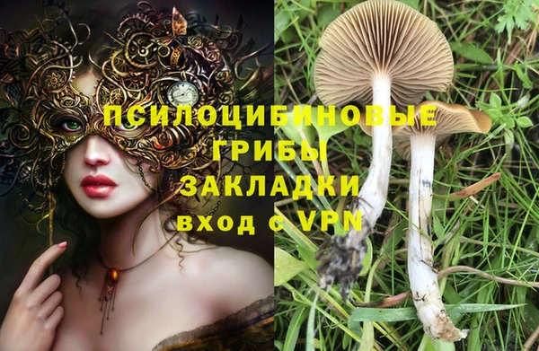 PSILOCYBIN Аркадак