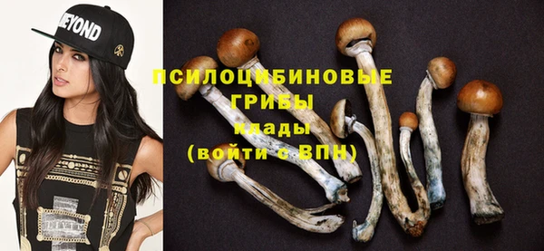 PSILOCYBIN Аркадак